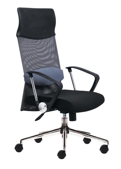 M1014 -01 CEO Chair