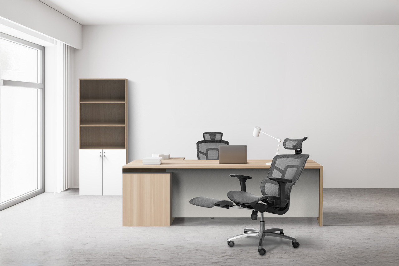 Ergonomic Office Chair