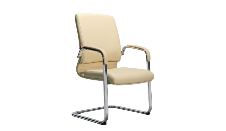 Meeting Chair